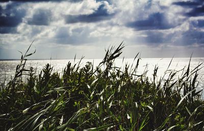 Scenic view of lake against cloudy sky