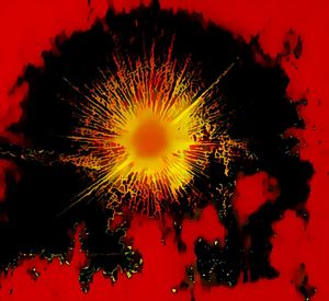 Close-up of red flower