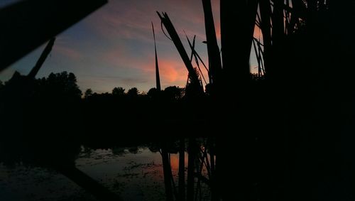 Reflection of silhouette trees in calm lake at sunset