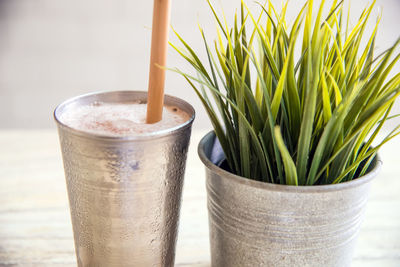 Close-up of drink on potted plant