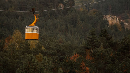 Overhead cable cars in forest