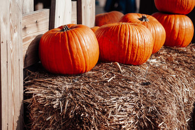 Close-up of pumpkins on field