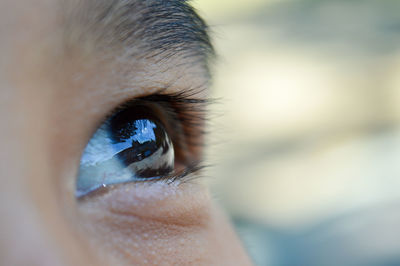 Close-up portrait of human eye