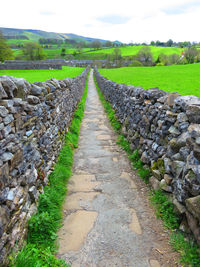 Road amidst agricultural field against sky