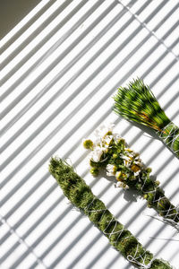 Herbal incense smudge sticks drying for smoked home.