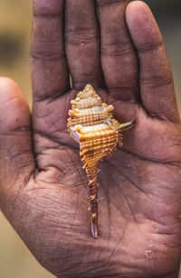 Close-up of man holding ice cream