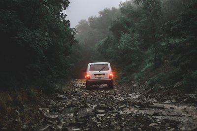 Off-road vehicle amidst trees in forest