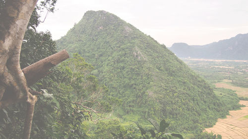 Scenic view of tree mountains against sky
