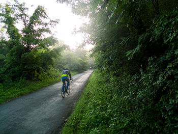 Rear view of people riding bicycle on road