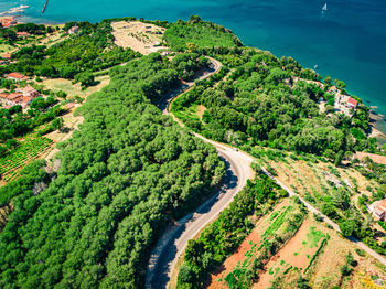 High angle view of road amidst trees and sea