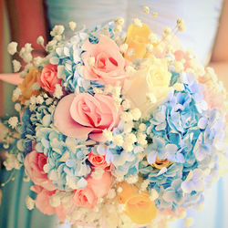 Close-up of colorful flowers