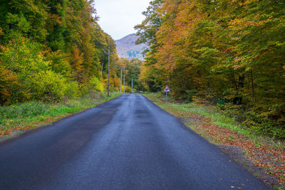 Empty road amidst trees during autumn