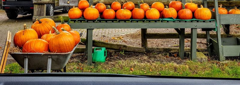 Pumpkins in market