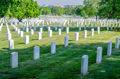 View of cemetery