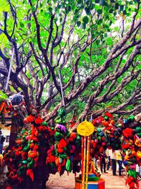 View of flower tree