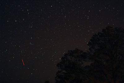Low angle view of silhouette trees against star field at night