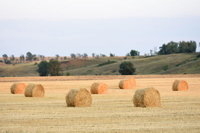 Hay bales on field against sky