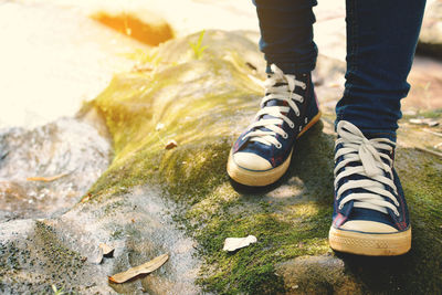 Low section of person wearing canvas shoes while standing on moss covered rock