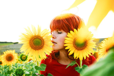 Close-up of sunflower