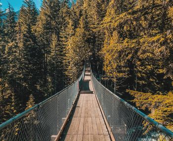 Bridge in forest during autumn