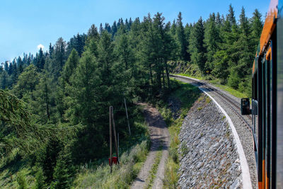 Train passing through forest