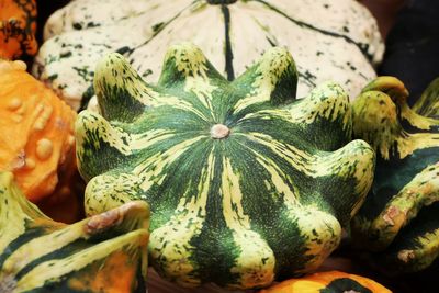 Close-up of pumpkin