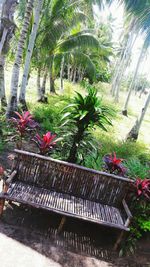 Plants and trees in park