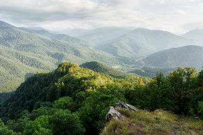 Mountains with a forest in the caucasus mountains, a view from the topto a mountain village