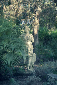 Statue amidst trees in forest