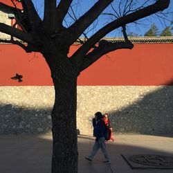 Shadow of man on tree