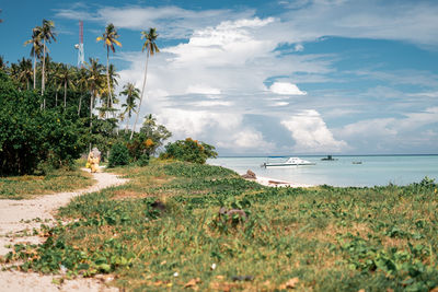 Scenic view of sea against sky