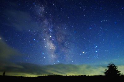 Low angle view of silhouette trees against sky at night