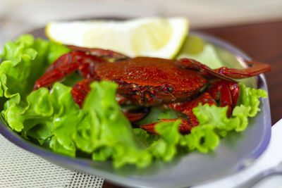 Close-up of salad served in plate