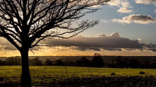 Scenic view of field against sky during sunset