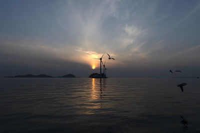 Silhouette birds on sea against sky during sunset