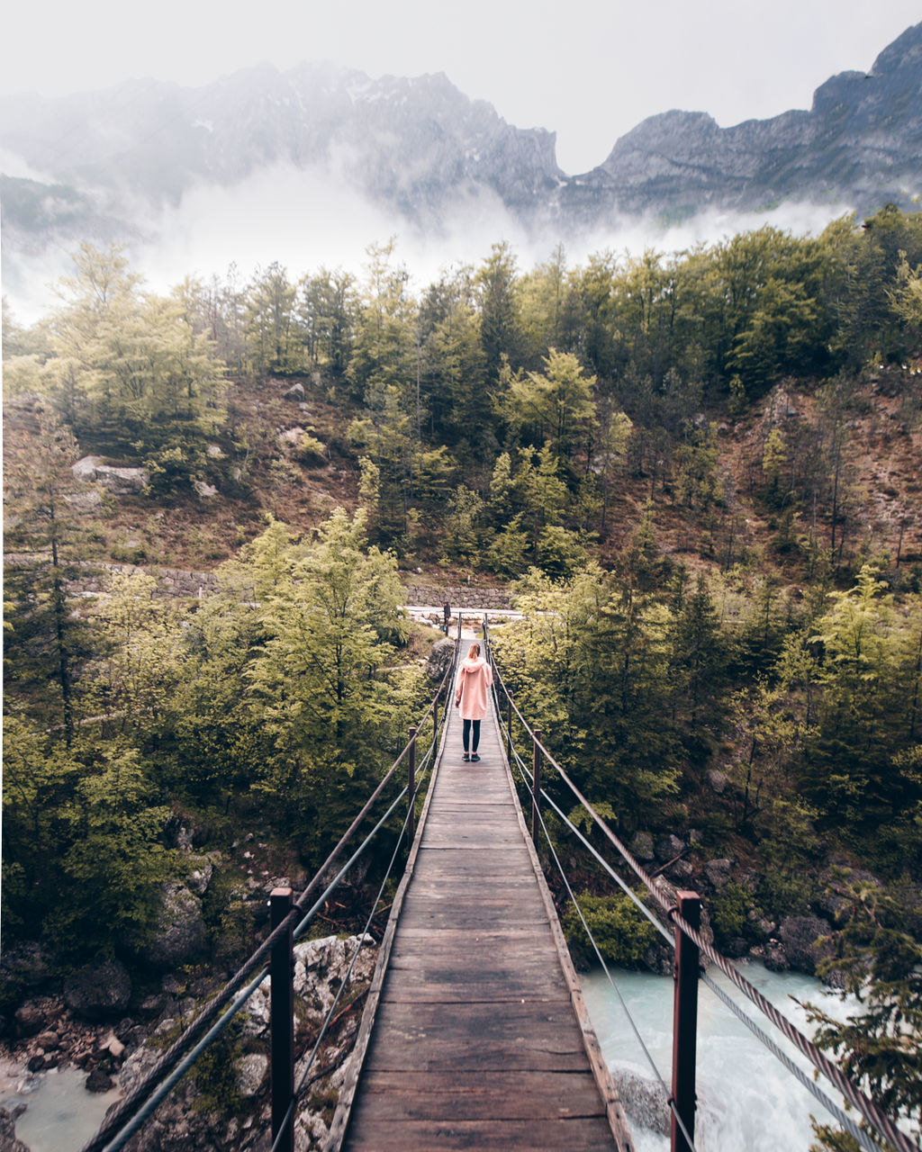 FOOTBRIDGE AMIDST TREES AGAINST SKY