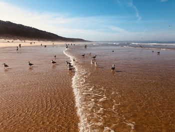 Group of people on beach