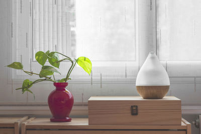 Close-up of potted plant on window sill