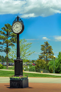 Clock on trees against sky