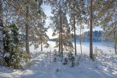 Scenic view of snow covered landscape