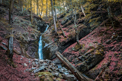 View of waterfall in forest
