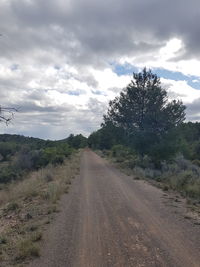 Dirt road along trees and landscape against sky