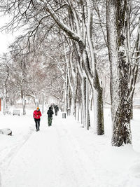 Rear view of people walking on snow covered land