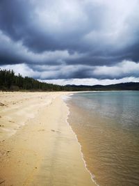 Scenic view of beach against sky