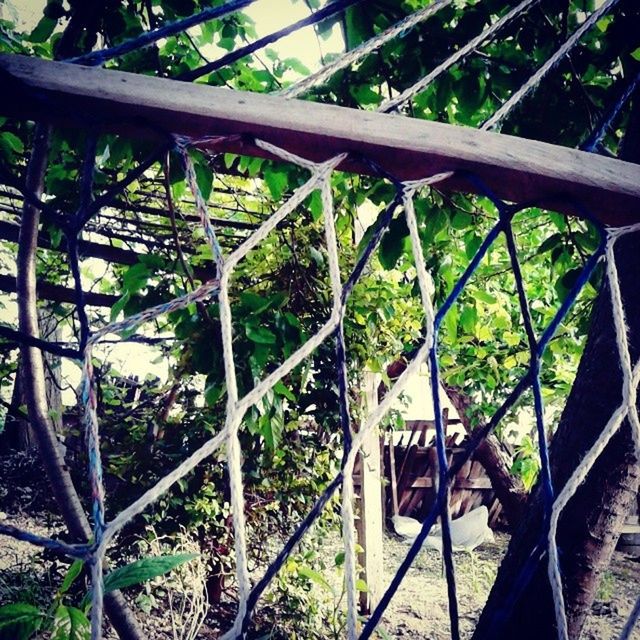 metal, fence, railing, chainlink fence, tree, metallic, growth, plant, protection, day, safety, built structure, no people, sunlight, close-up, nature, outdoors, high angle view, bridge - man made structure, branch