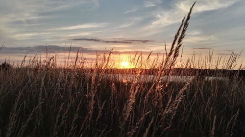 Scenic view of sunset over lake