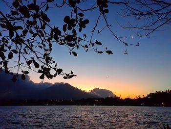 Silhouette tree by lake against sky during sunset