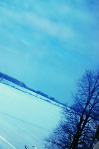 Low angle view of bare trees against blue sky