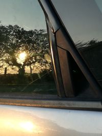 Low angle view of trees against sky