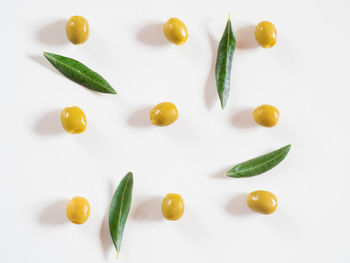 High angle view of vegetables on white background